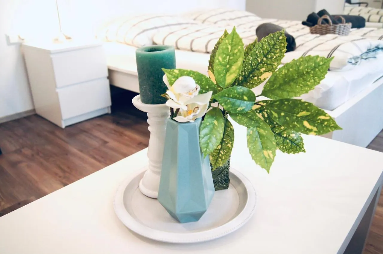 Beautiful Apartment 3 City Center Vienna